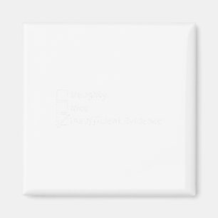 Nice Naughty Insufficient Evidence Christmas Funny Magnet