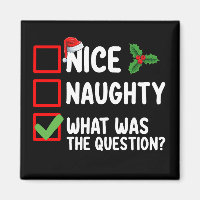 Nice Naughty What Was The Question Christmas List 