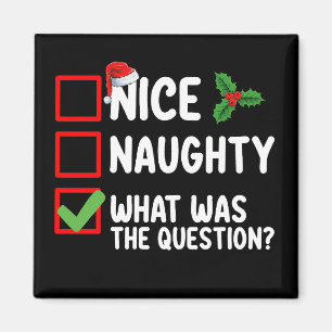 Nice Naughty What Was The Question Christmas List  Magnet