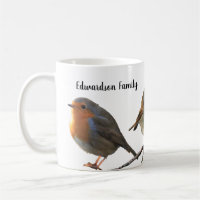 Nice Robin birds red breasts family name
