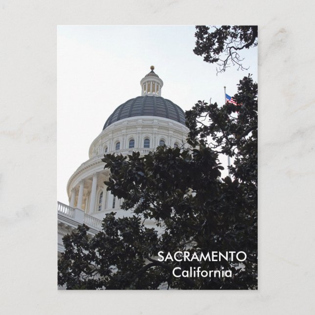 Nice Sacramento Postcard! Postcard (Front)