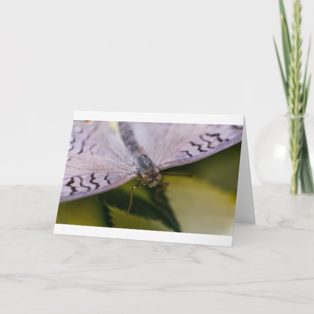 Nice to Meet You Card (Front)