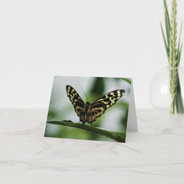 Nice to Meet You Card (Front)