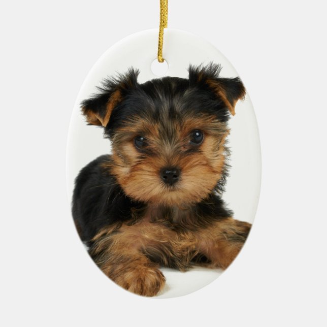 Nice yorkie ceramic tree decoration (Front)