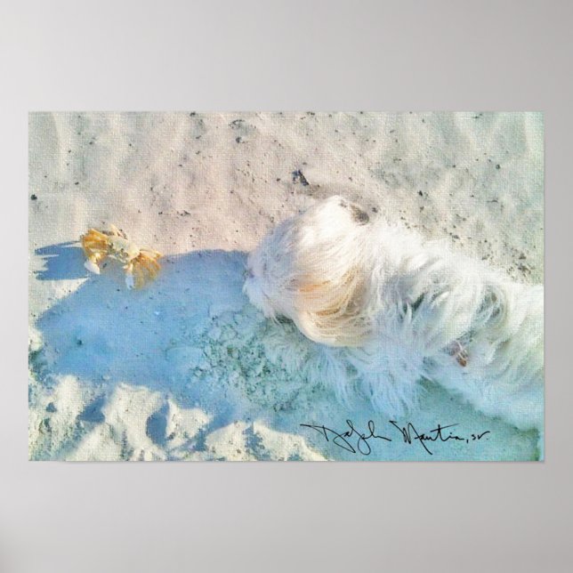 Nicholas & Friend Poster (Front)