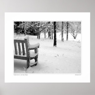 Nichols Arboretum #3 Poster