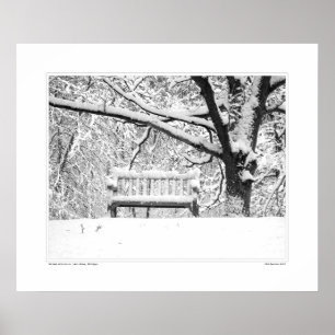 Nichols Arboretum #5 Poster