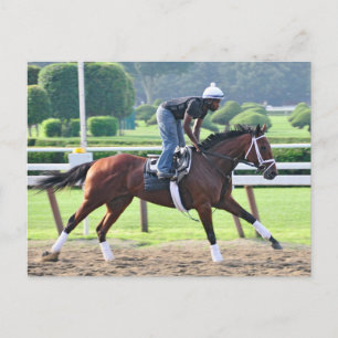 Nick Bush and Todd Pletcher Workouts Postcard