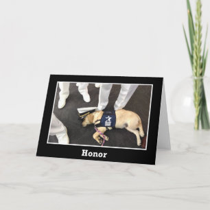 Nick "Honour" Card
