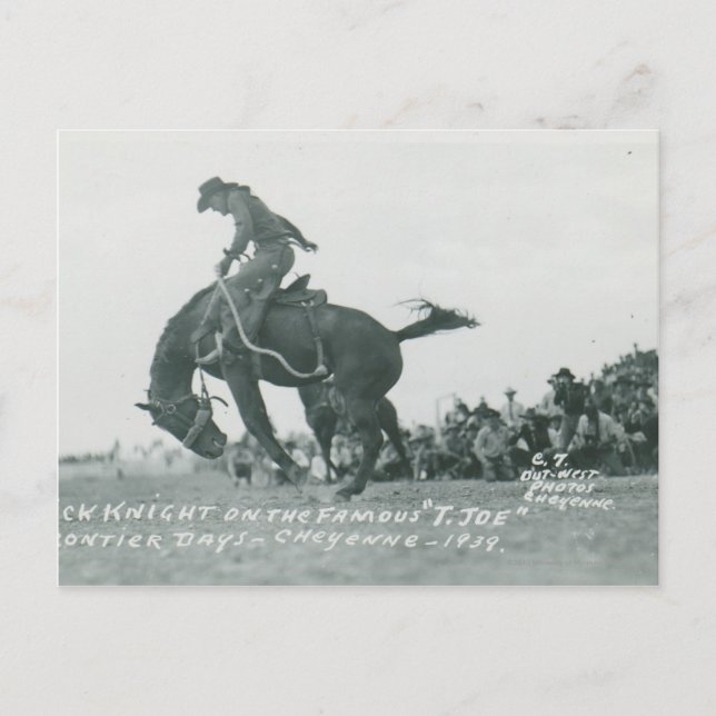 Nick Knight riding T. Joe at Cheyenne Frotier Days Postcard (Front)