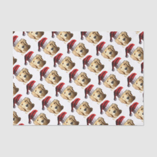 NICKEL-WITH-A-HAT-3 TISSUE PAPER