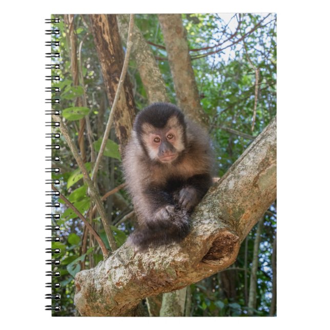 Nico Spiral Photo Notebook (Front)