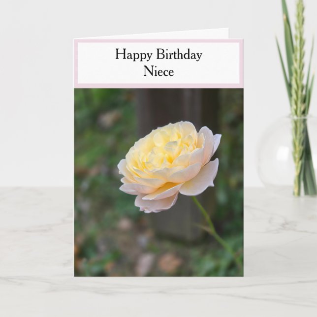 Niece Birthday Pastel Yellow Roses Pink Cupcake Card (Front)