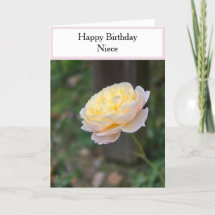 Niece Birthday Pastel Yellow Roses Pink Cupcake Card