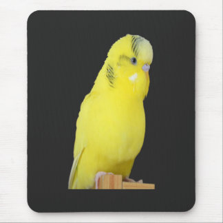niedlicher gelber Wellensittich Mouse Mat