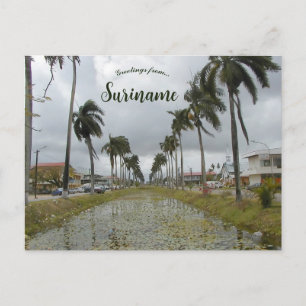 Nieuw Nickerie Suriname Postcard