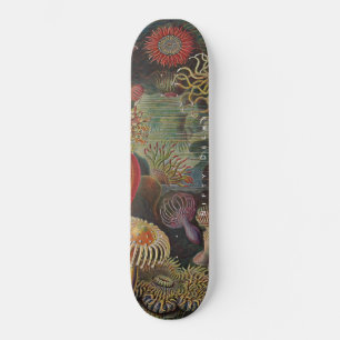 Nifty Decks - Wonders of the Sea - Actiniae Skateb Skateboard