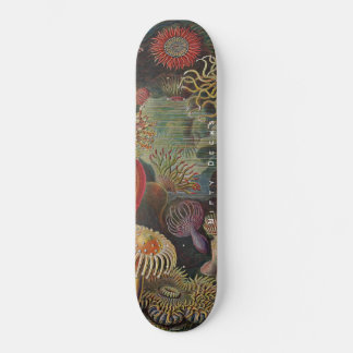Nifty Decks - Wonders of the Sea - Actiniae Skateb Skateboard
