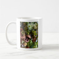 Nigella, Chrysanthemum, and Berries Floral Design