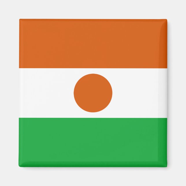 Niger Flag Magnet (Front)