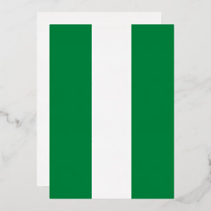 Nigeria flag