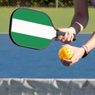 Nigeria flag pickleball paddle