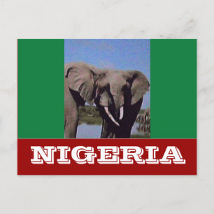 Nigeria flag postcard