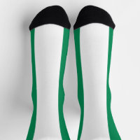 Nigeria Flag