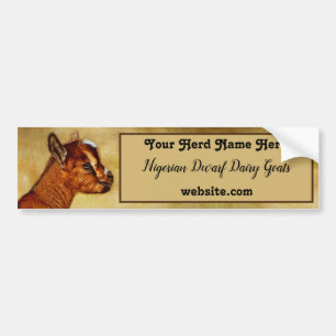 Nigerian Dwarf Dairy Goat Kid Bumper Sticker
