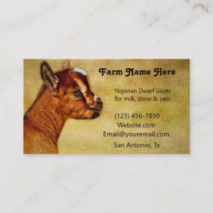 Nigerian Dwarf Dairy Goat Kid Business Card