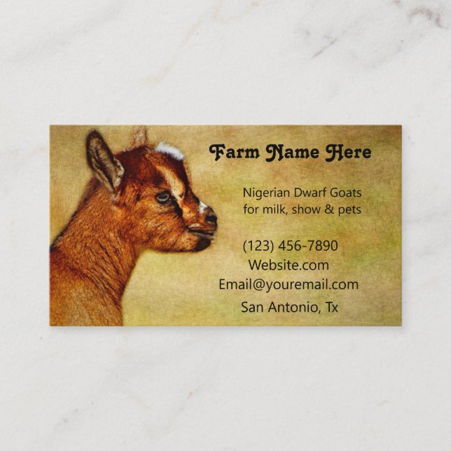 Nigerian Dwarf Dairy Goat Kid Business Card (Front)