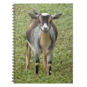 Nigerian Dwarf Dairy Goat Kid Notebook