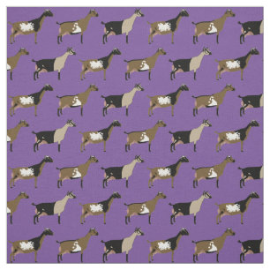 Nigerian Dwarf Dairy Goats on Purple Fabric
