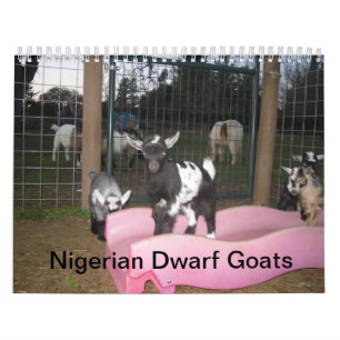 nigerian dwarf goat calender calendar
