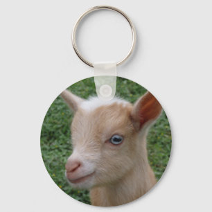 Nigerian Dwarf Goat Kid with Blue Eyes Key Ring
