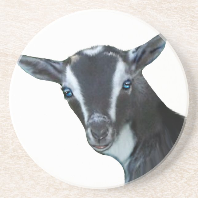Nigerian Dwarf Goat Sandstone Coaster (Front)