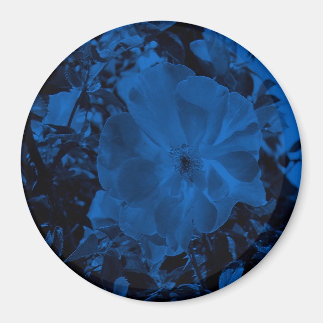 Night Beauty.... Magnet (Front)