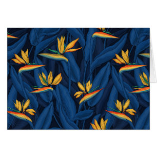 Night bird of paradise garden 2