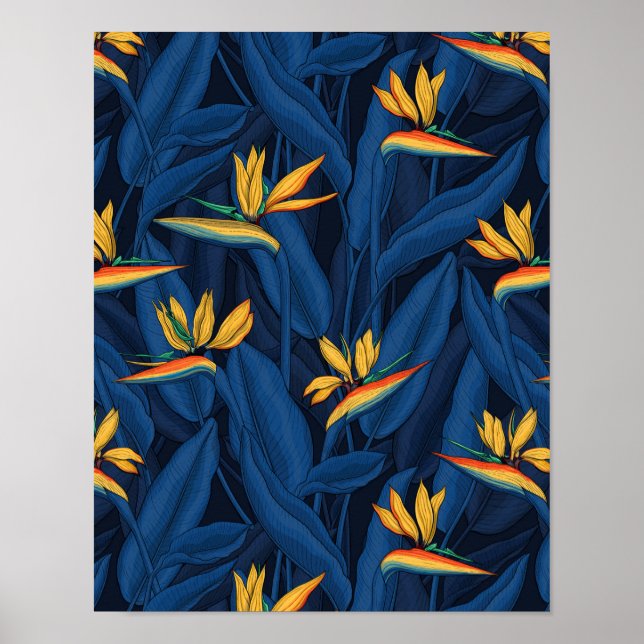 Night bird of paradise garden 2 poster (Front)
