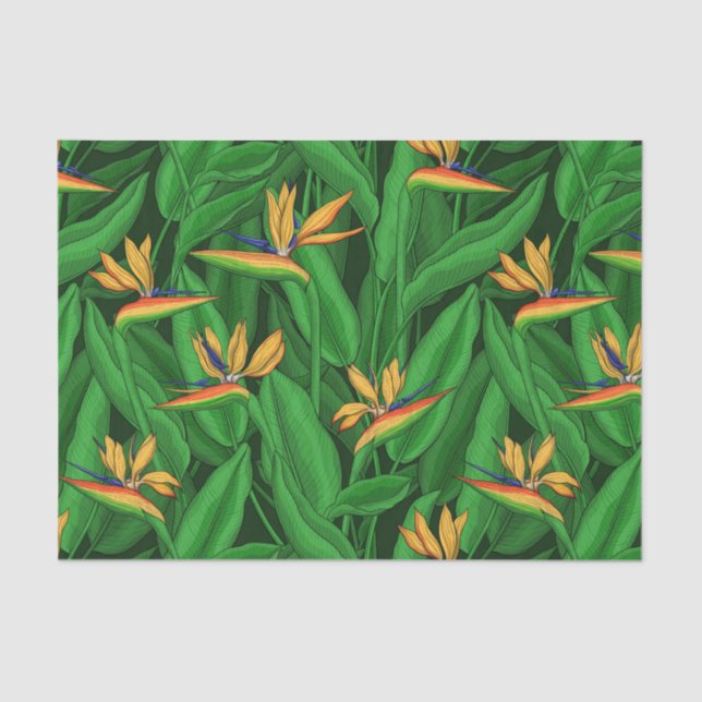 Night bird of paradise garden tissue paper (Front)