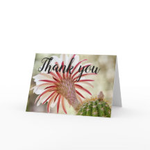 Night bloomer cactus flower  thank you