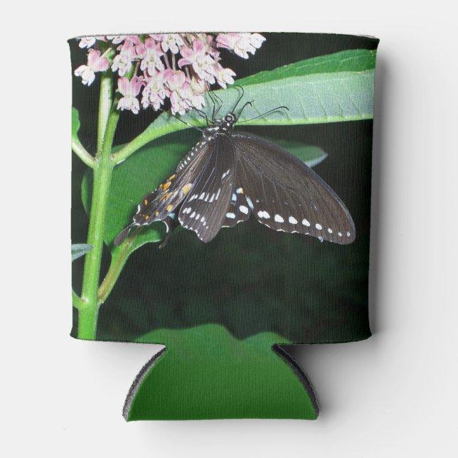 Night Butterfly Black Swallowtail at Shenandoah Can Cooler (Front)