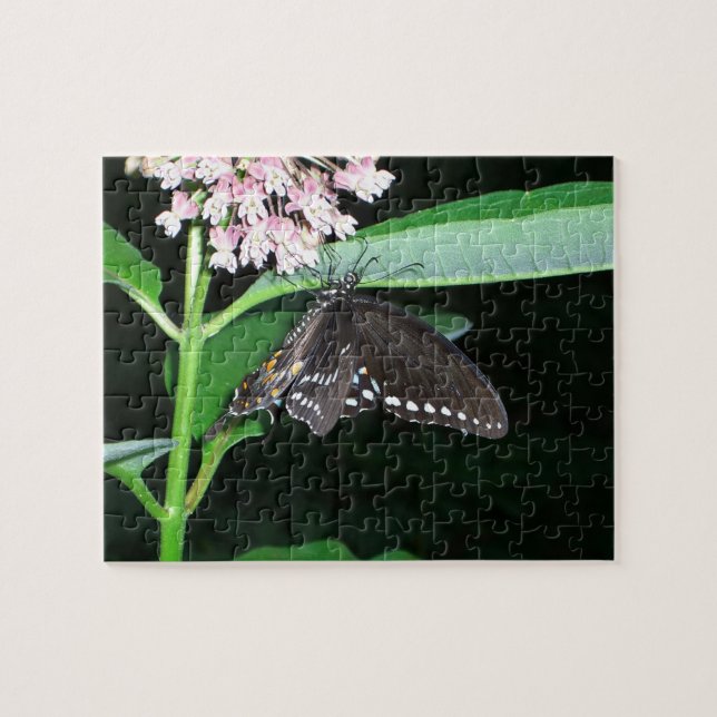 Night Butterfly Black Swallowtail at Shenandoah Jigsaw Puzzle (Horizontal)