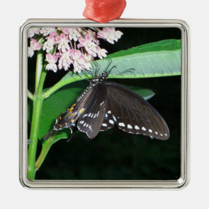 Night Butterfly Black Swallowtail at Shenandoah Metal Tree Decoration