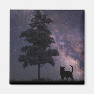 Night Cat Magnet