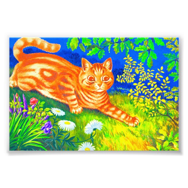 Night Cat Photo Print (Front)