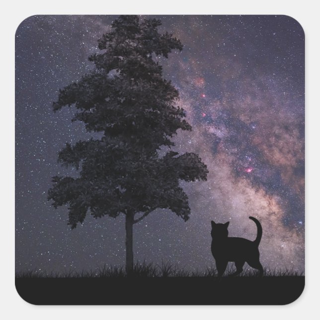 Night Cat Square Sticker (Front)