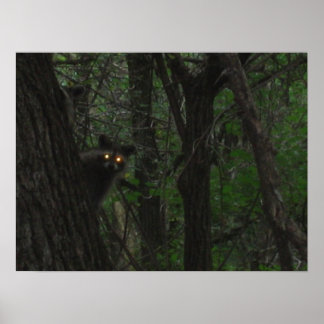 Night Eyes Poster
