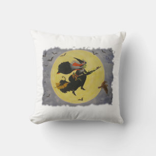"Night Flight!" Cushion
