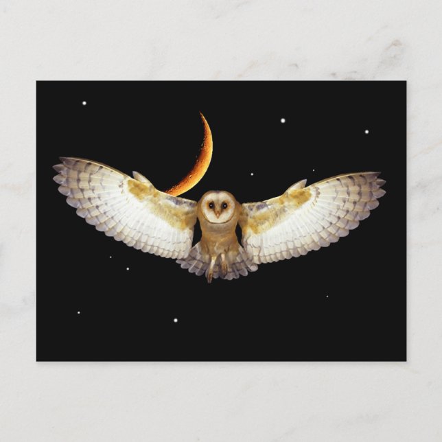 "Night Flight" Postcard (Front)